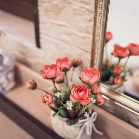 Deluxe Center Daire *